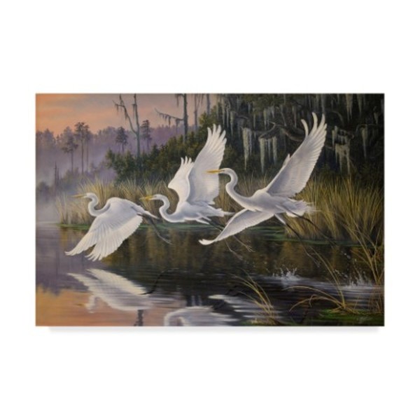 Trademark Fine Art Wilhelm Goebel 'Morning Departure Egrets' Canvas Art, 30x47 ALI33652-C3047GG